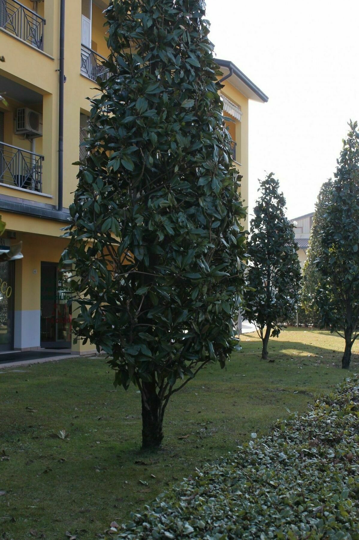 Sarno Apartments Caravaggio Sirmione Eksteriør billede